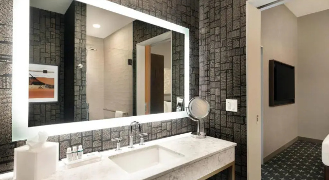 Номер Standard The Slate Hotel Denver Downtown, Tapestry by Hilton