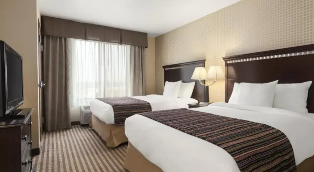 Четырёхместный люкс University Hotel Davis Area by IHG