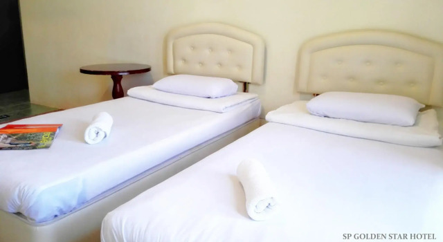 Двухместный номер Standard Sp Golden Star Hotel