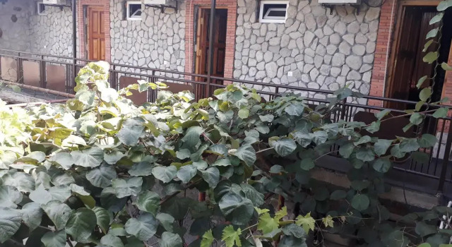 Hotel E U R O P E, Book Guesthouse Hotels in Kvareli Municipality with Parking, Parking