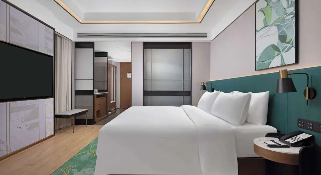 Номер Standard Hilton Garden Inn Leshan Shizhong