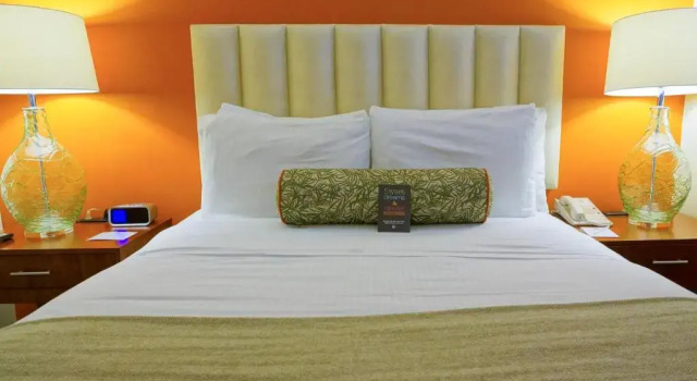 Полулюкс Hotel Del Sol