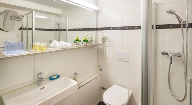 Трёхместный номер Standard Hotel Luzernerhof