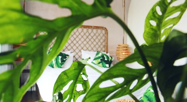 Двухместный номер Standard с балконом Green River Boutique Home