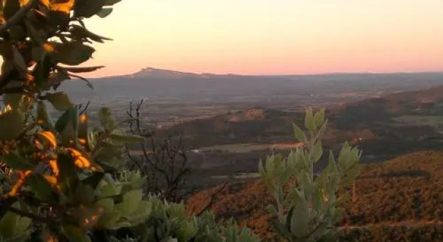 Domaine de Peyre Brune - Gite de Charme En Ardeche du Sud