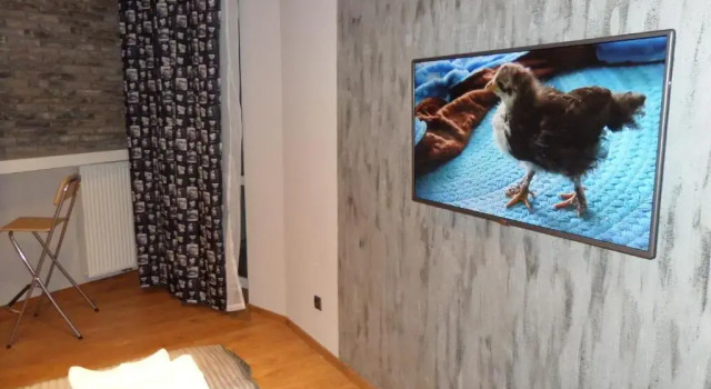 Номер Deluxe Apartament Wiosenna Kielce