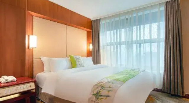Двухместный люкс Business Xin Xing Hotel
