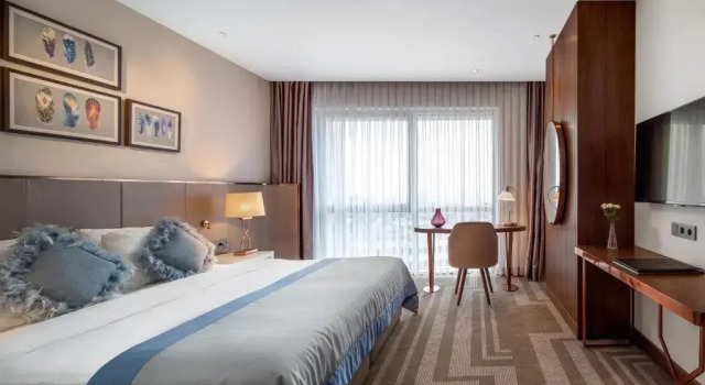Двухместный номер Superior Lionel Hotel Istanbul