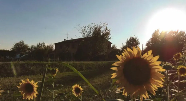 Номер Standard Agriturismo La Lenticchia
