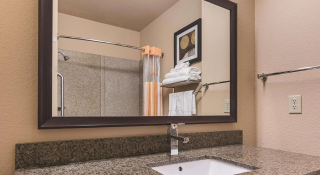 Двухместный номер Standard La Quinta by Wyndham Mt. Pleasant