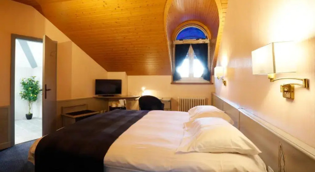 Одноместный номер Executive Hotel Montbrillant