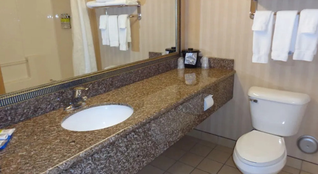 Номер Standard Holiday Inn Express & Suites New Buffalo, MI by IHG