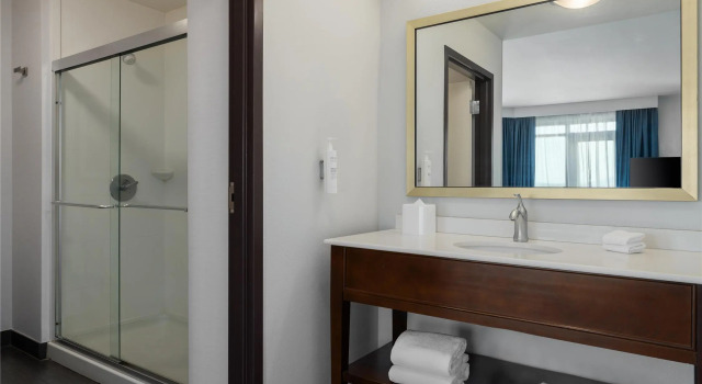 Люкс с видом на город Hampton Inn & Suites - Roanoke-Downtown, VA