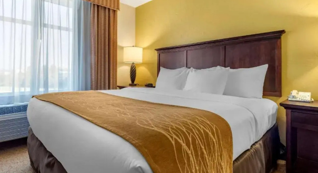 Люкс Comfort Inn & Suites Dover