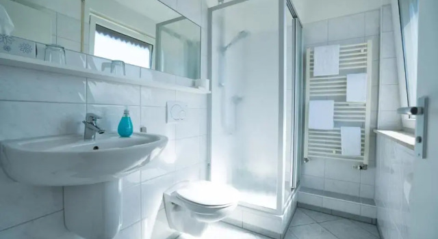 Двухместный номер Standard Hotel zur Sonne