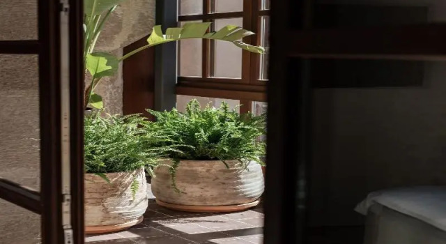 Двухместный люкс Nobis Hotel Palma, a Member of Design Hotels