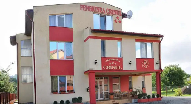 Pensiunea Crinul, Varaa Hotelli Târgu-Mureş 