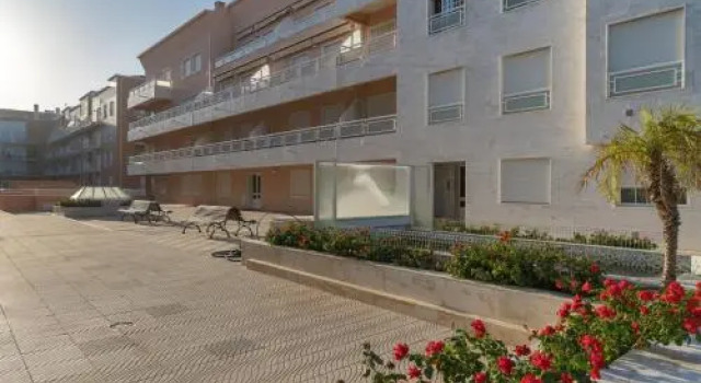 Akisol Vila Real Star II