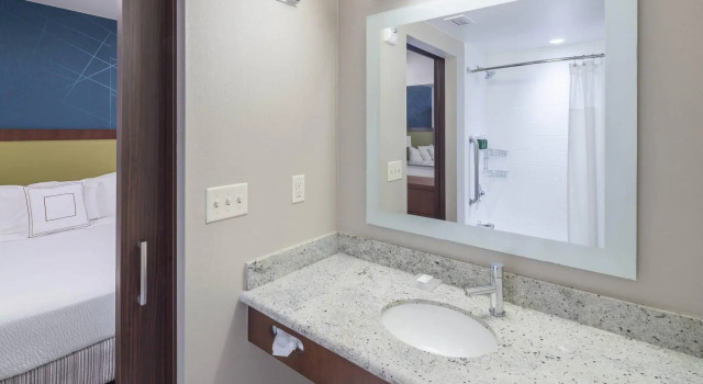 Четырёхместный люкс Springhill Suites by Marriott Alexandria Old Town/Southwest