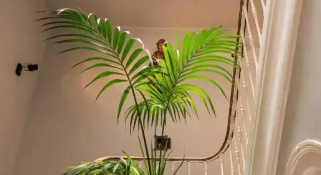 Casa do Barao