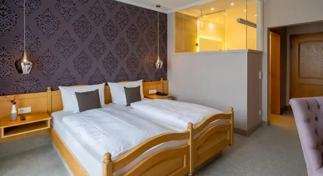 Двухместный номер Comfort Krone am Park - Gästehaus des Hotel Krone