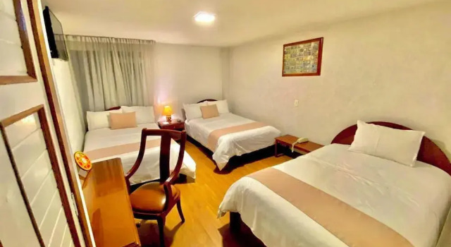 Трёхместный номер Executive Hotel Don Saul