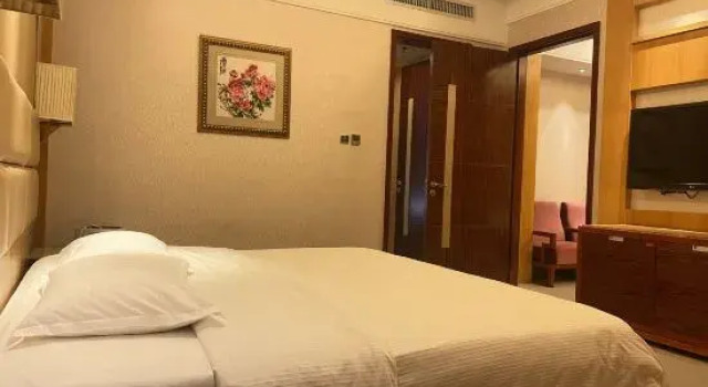 Люкс Deluxe Wuhan Zongheng Hotel