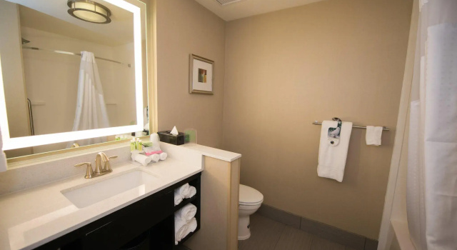 Номер Standard Holiday Inn Express & Suites Denver South - Castle Rock by IHG