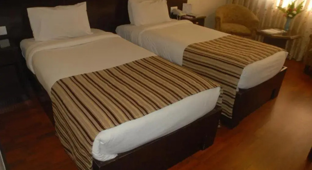 Двухместный номер Deluxe Hotel Vaishali