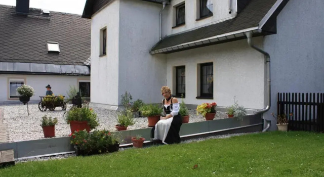 Апартаменты Standard Wellness Hotel Pension & Gaststätte Riedel