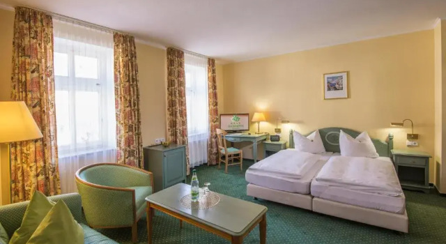 Двухместный номер Standard Hotel Herzog Georg