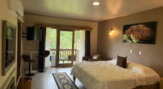 Номер Superior Hotel del Bosque