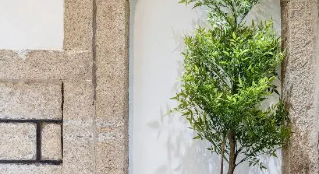 Zhenshan Linghai Hillowav Homestay (Tannan Bay Beach), Book Hotel Fuzhou Fujian