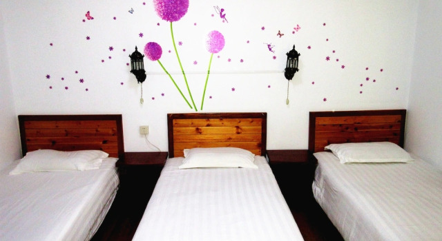 Номер Standard 25 Four Seasons Youth Hostel