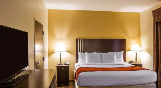 Номер Standard Comfort Suites Simpsonville - Greenville