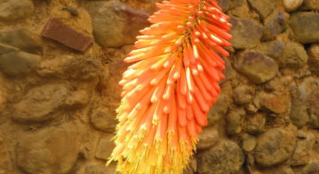 Двухместный номер Deluxe Tierra Viva Ollantaytambo