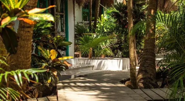Двухместный номер Superior с красивым видом из окна Cormoran Boutique Hotel & Cenote Tulum