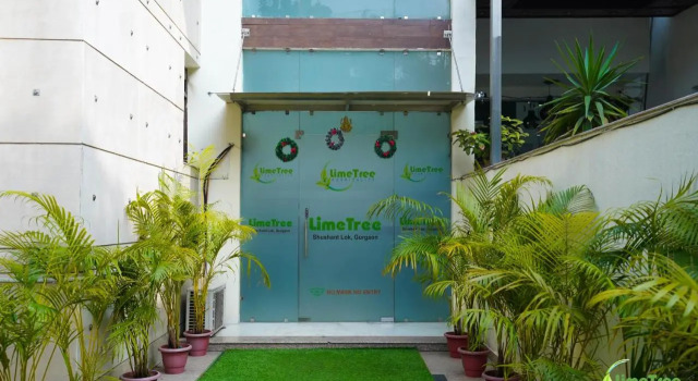 Lime Tree Hotel Sushant Lok Gurgaon