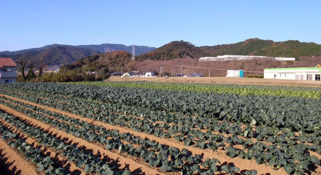 Hotel Select Inn Ehime Ainan-Cho, Varaa Hotelli Tsushima Ehime