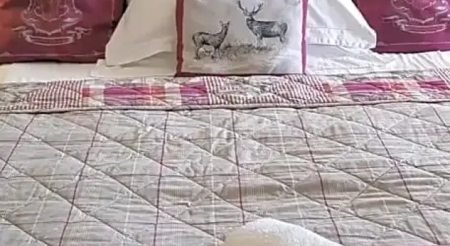 Одноместный номер Standard Redhill House Boutique Hotel