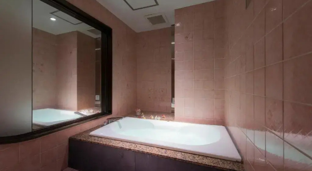 Номер Deluxe HOTEL SULATA GIFU HASHIMA