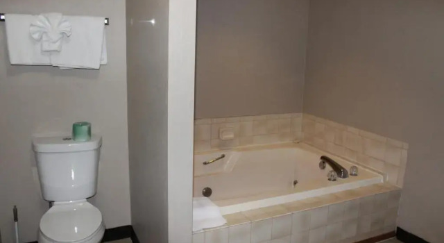 Люкс Coratel Inn and Suites Maple Grove