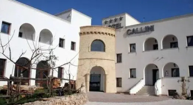 Economy huone Hotel Montecallini