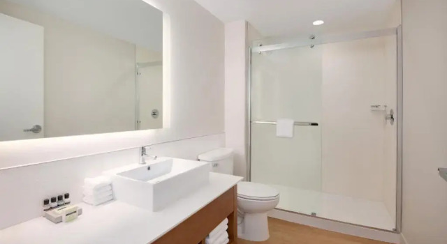 Deluxe værelse Element by Marriott Atlanta Buckhead