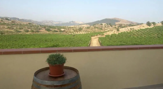 Четырёхместный номер Standard Agriturismo La Casa di Bacco
