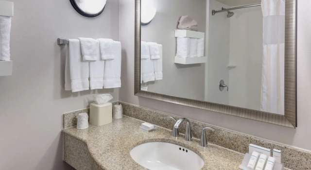 Четырёхместный люкс Hilton Garden Inn McAllen Airport