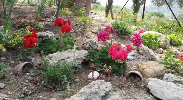Коттедж Villa Lofos Wood & Stone