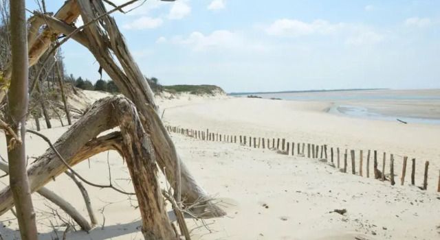 SURF Vue Mer 100m plage
