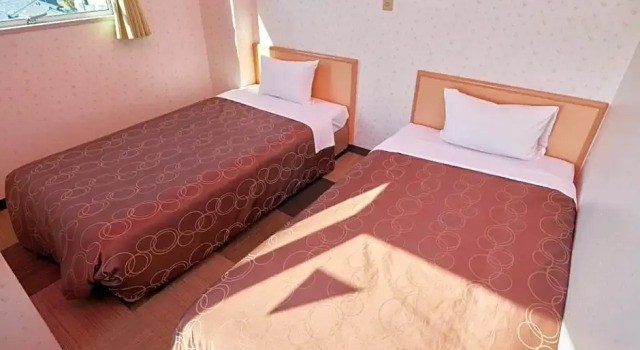 Номер Standard Hotel Select Inn Sano-Ekimae