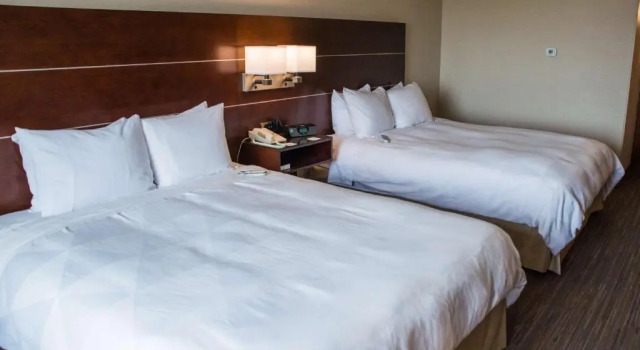 Четырёхместный номер Standard Wyndham Moline on John Deere Commons